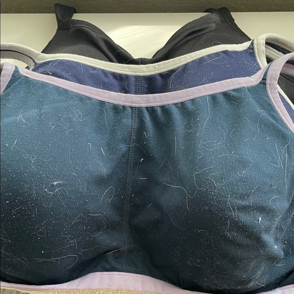 Natori Blue and Black Bras